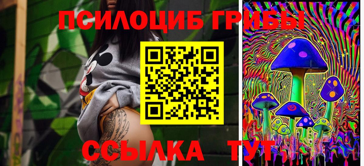 Псилоцибиновые грибы GOLDEN TEACHER Выборг