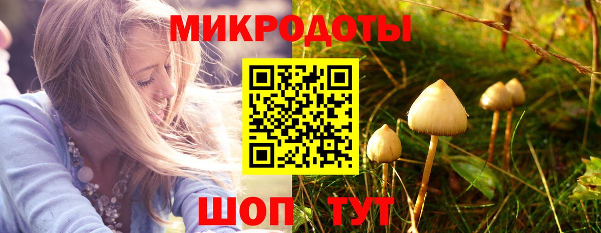 Галлюциногенные грибы прущие грибы  купить   Вход с VPN  Выборг  Галлюциногенные грибы ЛСД 